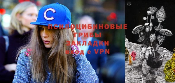 мдпв Киренск