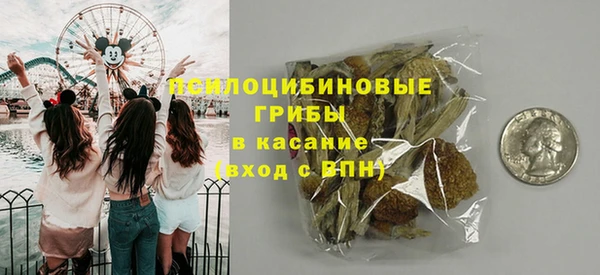 мдпв Киренск