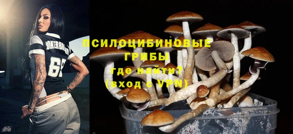 мдпв Киренск