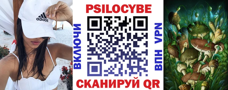 Галлюциногенные грибы Cubensis Купить Шенкурск
